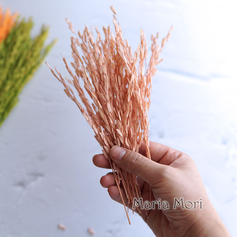 Dried Flower Bulk - 5g/Broomcorn Geverfd Gedroogde Natuur Bloemen Gebleekte