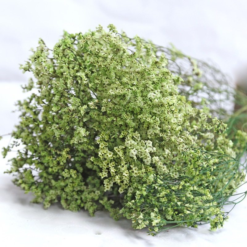 Dried Flower Bulk - Natuurlijke Verse Gedroogde Bewaarde Bloemen Kristal