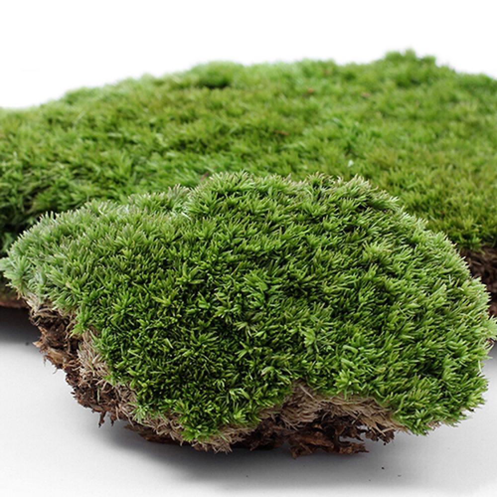 Terrarium Moss Art - Kunstgroen Gras Mos Plant Ornament Miniatuur