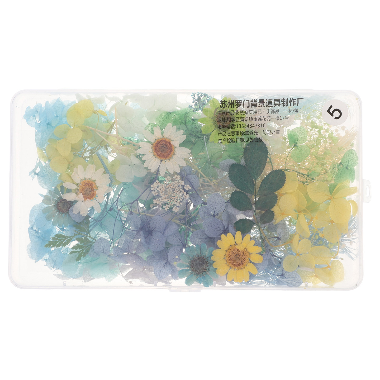 Resin Craft Kit - DIY Bruidshoofdband Gedroogde Bloemen Kit Gepersste