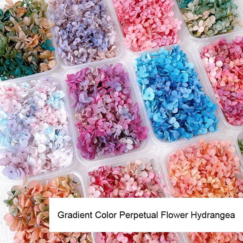 1 Doos Echte Gedroogde Bloem N - Dried Flower Bulk recensie en prijs