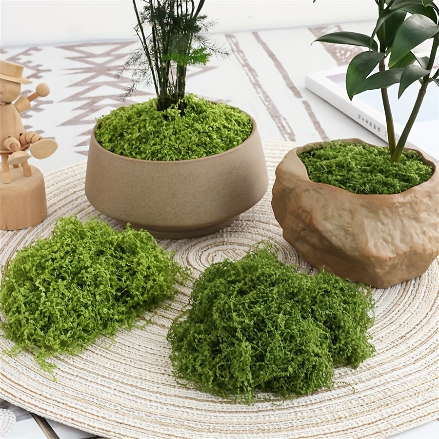 1pack kunstmatig nepmos, 1,05  - Terrarium Moss Art recensie en prijs