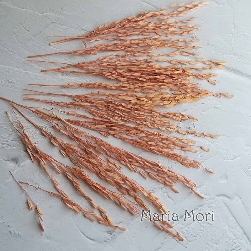 5g/Broomcorn Geverfd Gedroogde - Dried Flower Bulk recensie en prijs