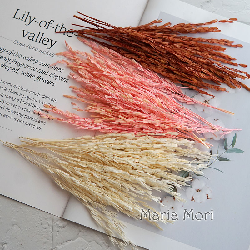5g/Broomcorn Geverfd Gedroogde - Dried Flower Bulk recensie en prijs