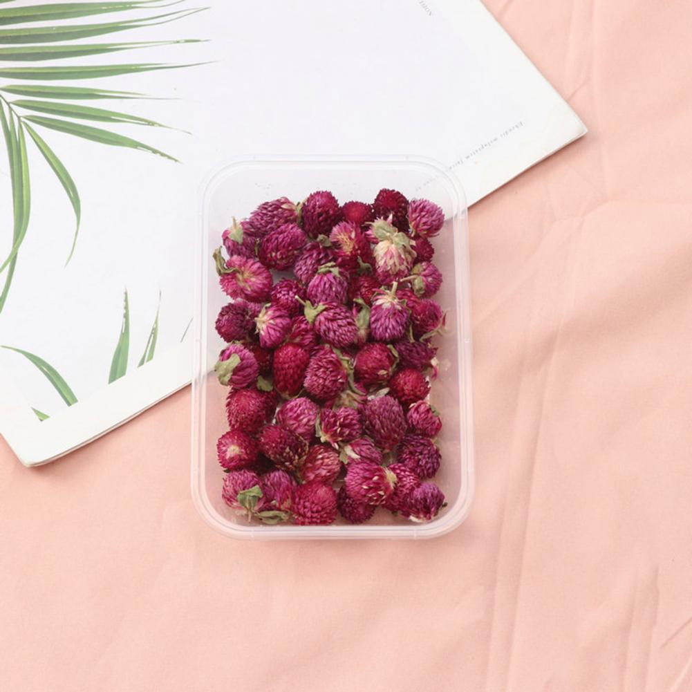 Natuurlijke Bloemen Diy Gedroo - Dried Flower Bulk recensie en prijs