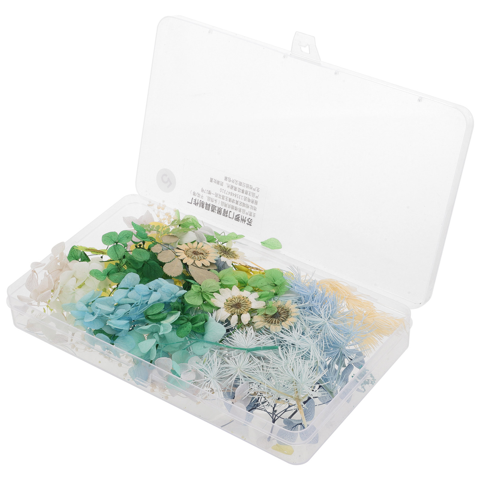 DIY Bruidshoofdband Gedroogde  - Resin Craft Kit recensie en prijs