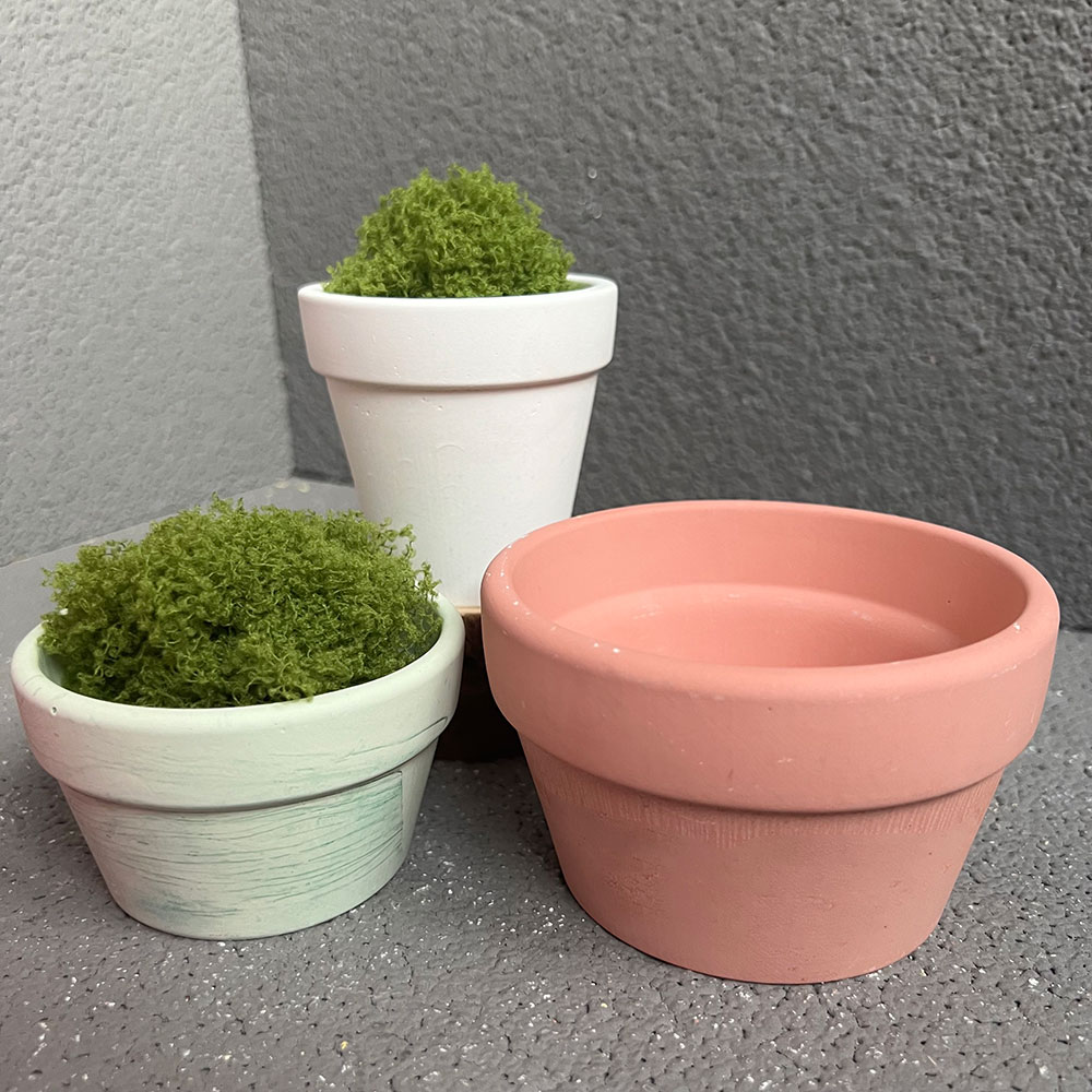 Grote Betonnen Plant Pot Silic - Coaster Mold Round recensie en prijs
