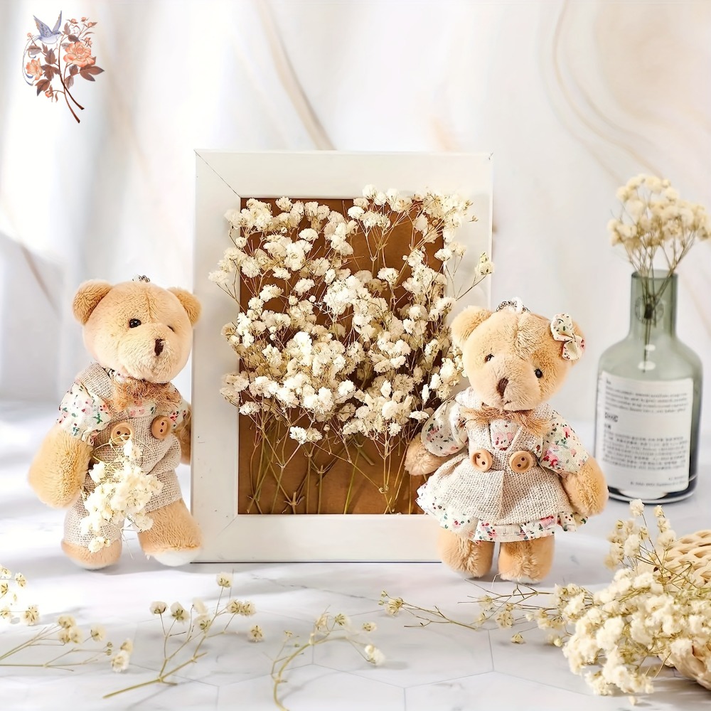100 stuks Mini Gedroogde Baby' - Dried Flower Bulk recensie en prijs