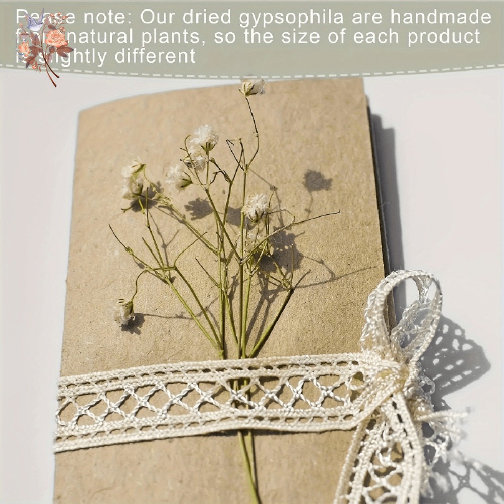 100 stuks Mini Gedroogde Baby' - Dried Flower Bulk recensie en prijs